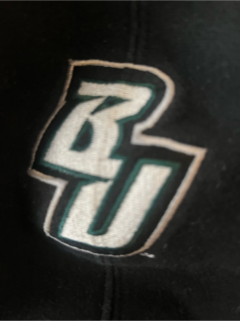 Champion brand Binghamton University black embroidered hoodie size XL - Picture 5 of 5